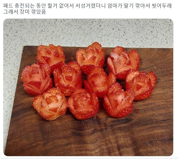 엄마 딸기 다 깎아서 씻어두었어 | 인스티즈