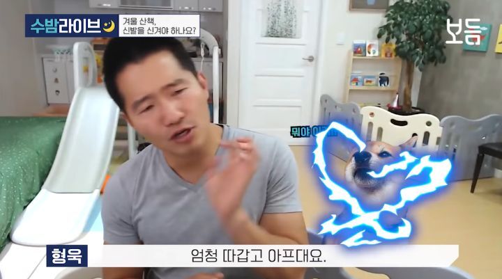 눈 온 뒤 산책할때 강아지가 아파하는 "염화칼슘" 대처법 | 인스티즈