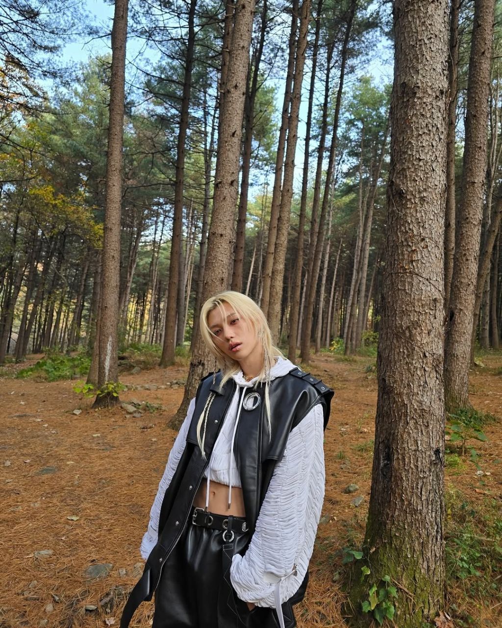 스키즈 필릭스 인스타그램 업데이트 | 인스티즈