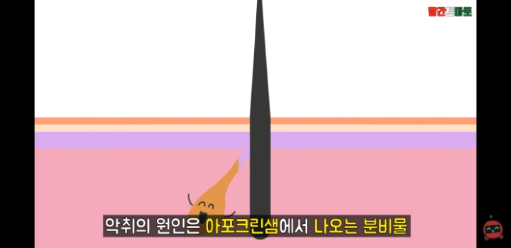 한국인 종특 | 인스티즈
