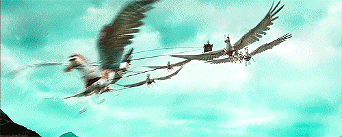 해리포터에서 가장 타보고 싶은 비행수단은? | 인스티즈