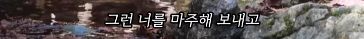 반려묘를 떠나보낸 유튜버가 올린 영상 | 인스티즈
