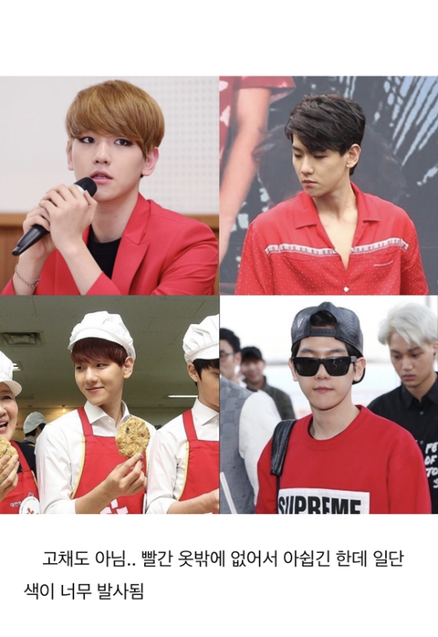 엑소 백현 퍼스널 컬러 분석 | 인스티즈