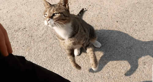 [hahaha] 양어장 일짱 하연님 | 인스티즈