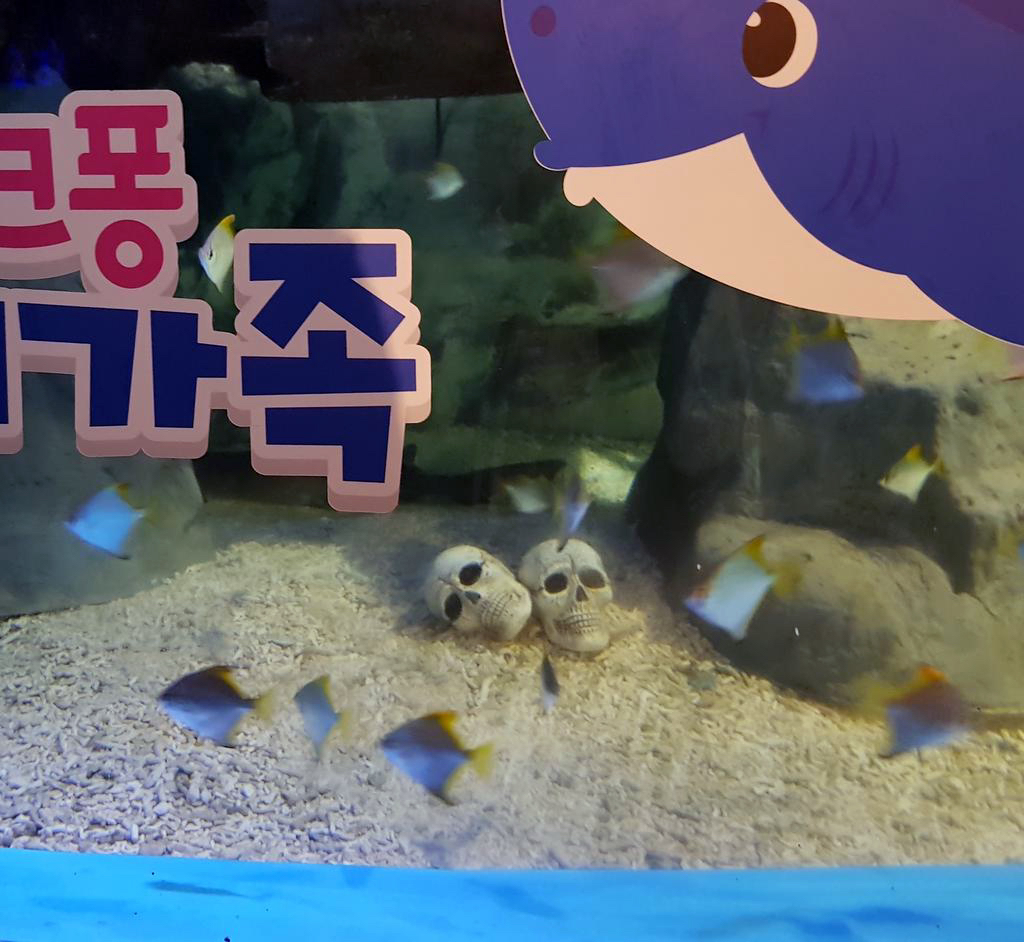 내가 좋아하는 단짠단짠 트윗모음 10 | 인스티즈