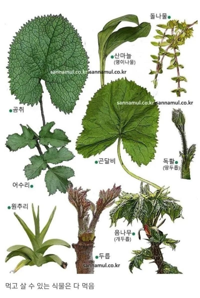 한국인의 식성 특징.jpg | 인스티즈