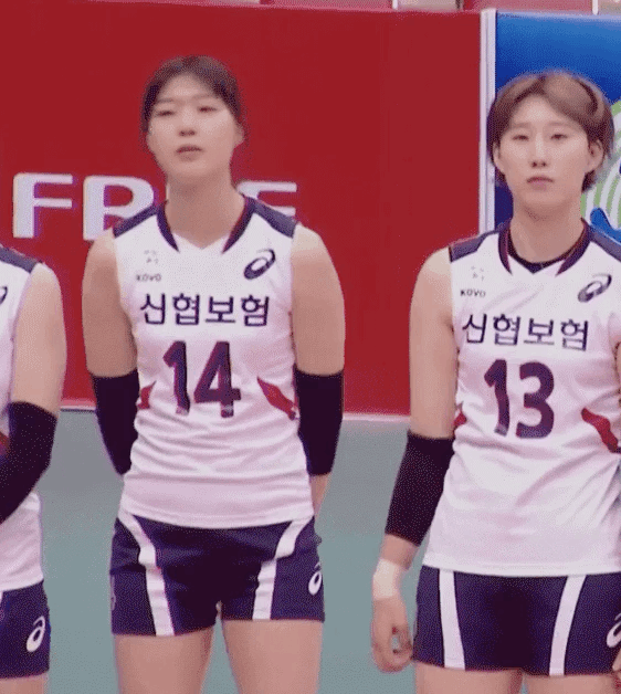 8669d7a668fc2dadb7c436fa36c3e235df305ebd