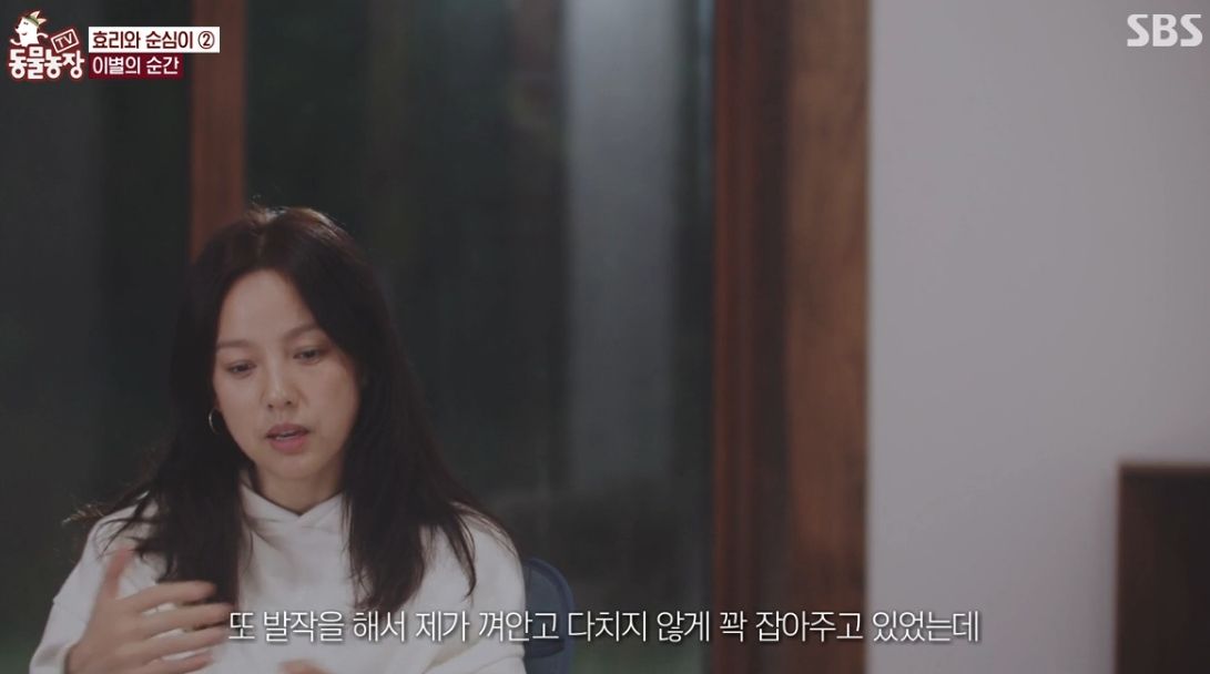 이효리 반려견 순심이가 죽기 전 다른 동물들이 보인 반응 | 인스티즈