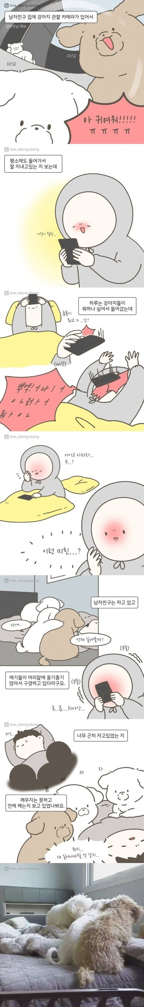 남자친구네 강아지 관찰카메라 후기.... | 인스티즈