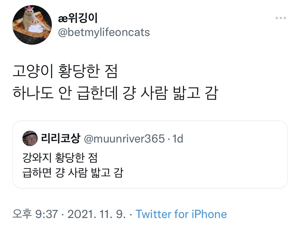 강아지 황당한 점: 급하면 걍 사람밟고 감 | 인스티즈