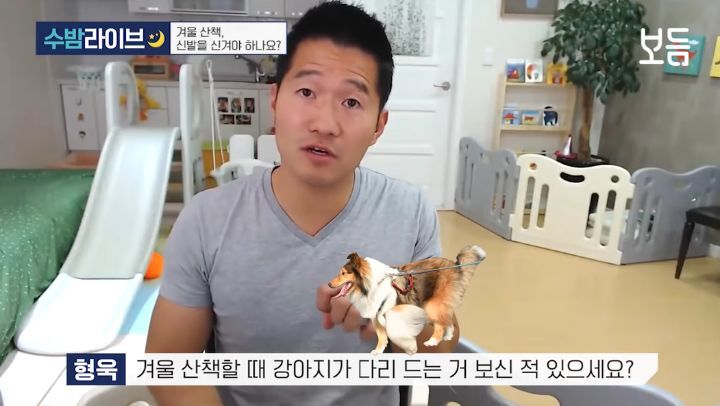 눈 온 뒤 산책할때 강아지가 아파하는 "염화칼슘" 대처법 | 인스티즈