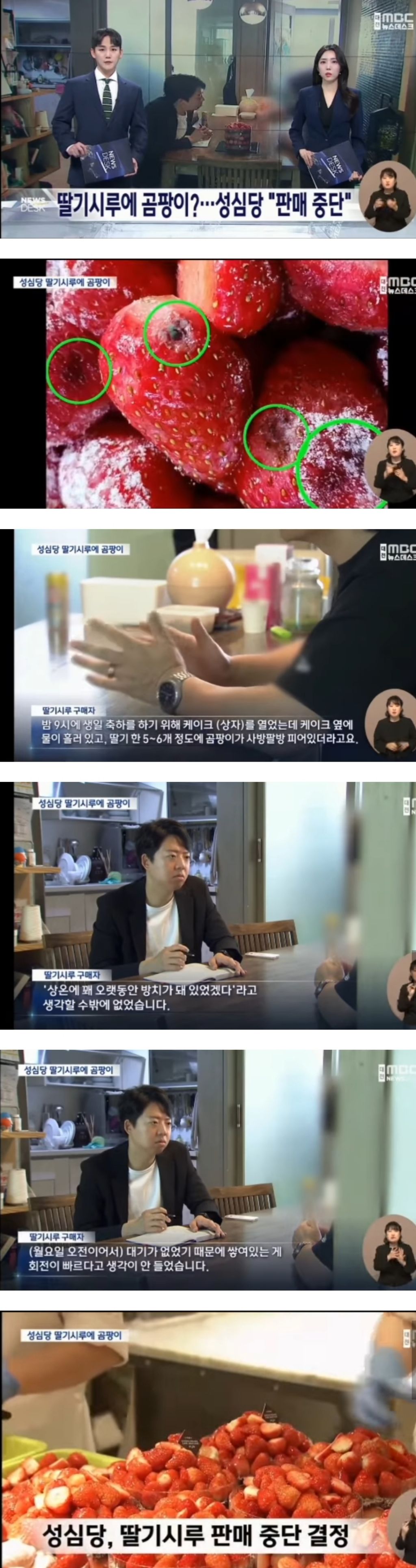 성심당 딸기시루에서 곰팡이 핀 딸기 나왔다고 뉴스 제보한 사람 | 인스티즈