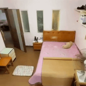 여름철에 댕댕이가 주인나가면 하는짓.gif | 인스티즈