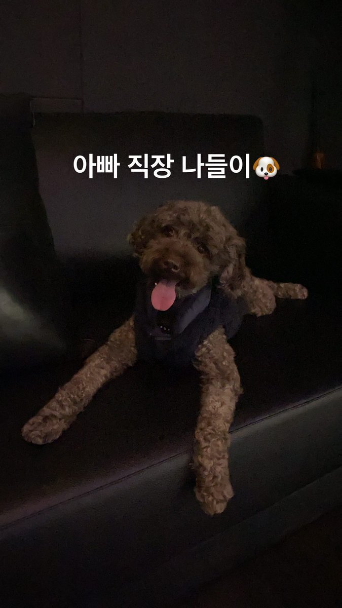 보는 사람도 행복해지는 강승윤 강아지 토르의 변화.jpg | 인스티즈
