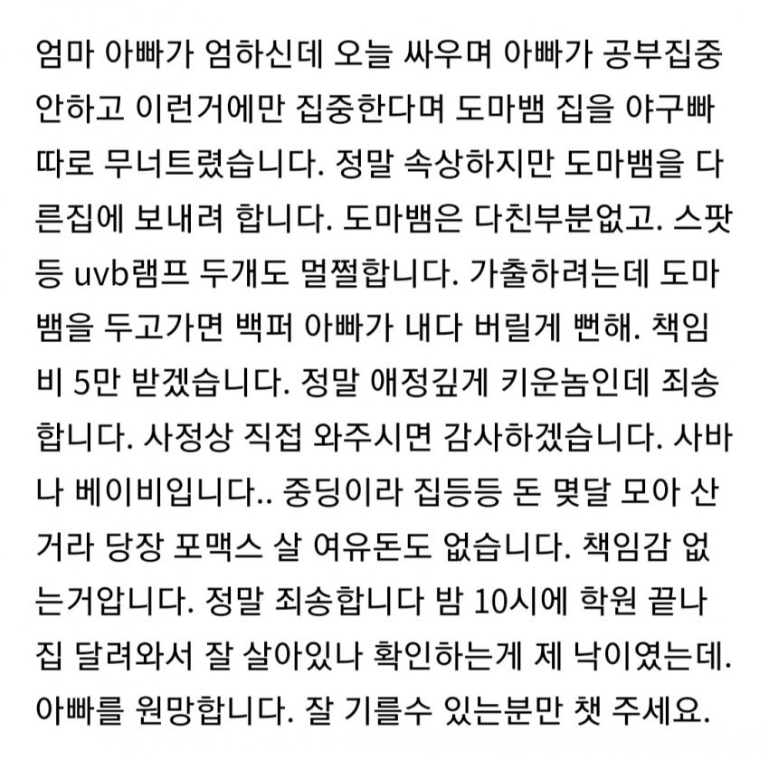 도마뱀 분양글을 올린 중딩 | 인스티즈