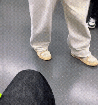 (카테 유머) 1호선에 늑대 데리고 탄 무개념 | 인스티즈