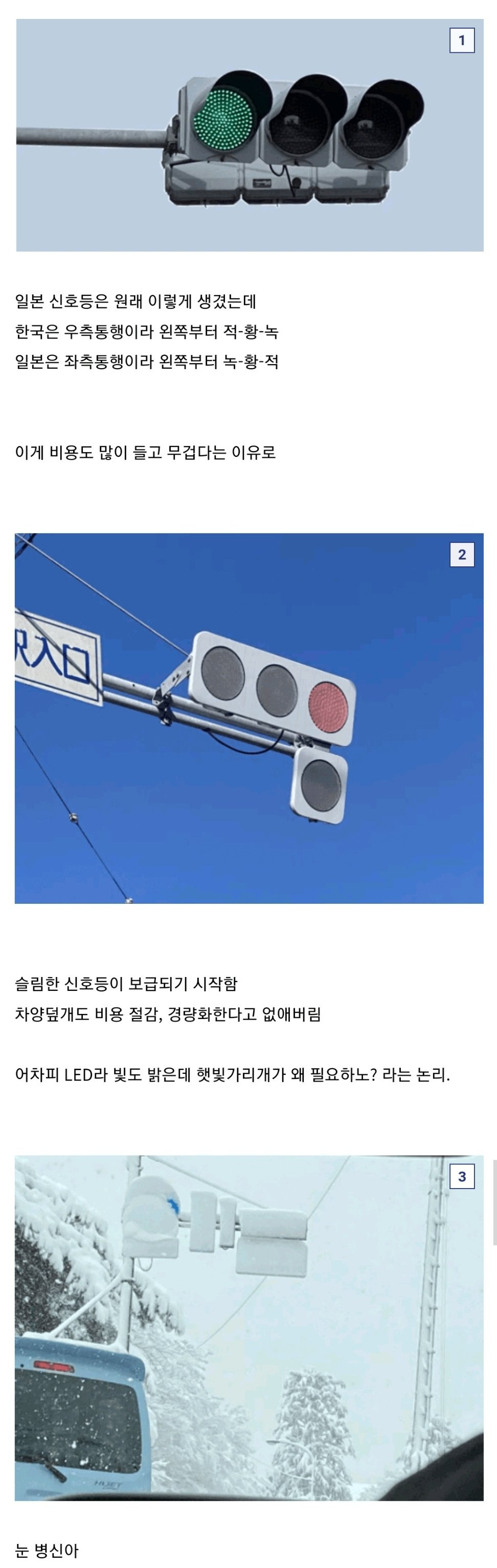 새로 설치된 일본의 신호등 | 인스티즈