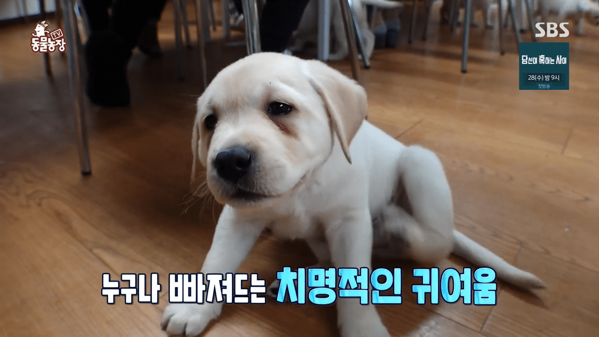 아이들이 공부하던 공부방 습격당하는 장면...gif | 인스티즈