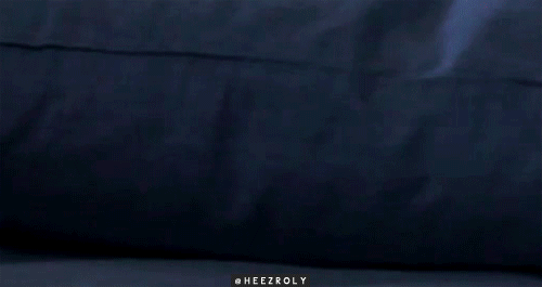 내가 강아지를 한 명 주웠는데 gif | 인스티즈