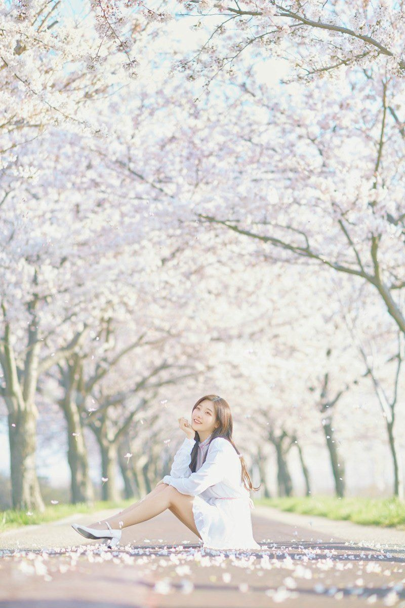 봄마다 꺼내보는 인간 벚꽃 정채연 | 인스티즈