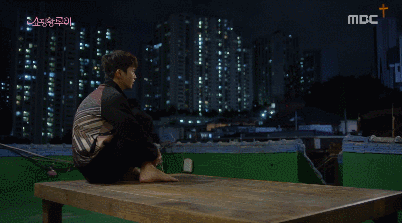 내가 강아지를 한 명 주웠는데 gif | 인스티즈