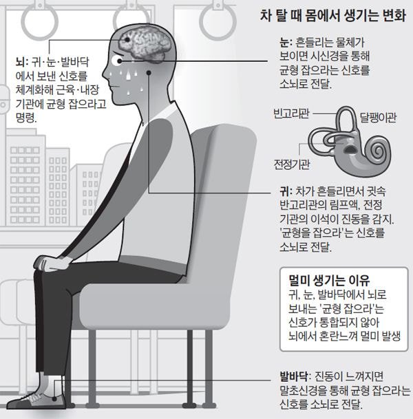 진동성 이미지