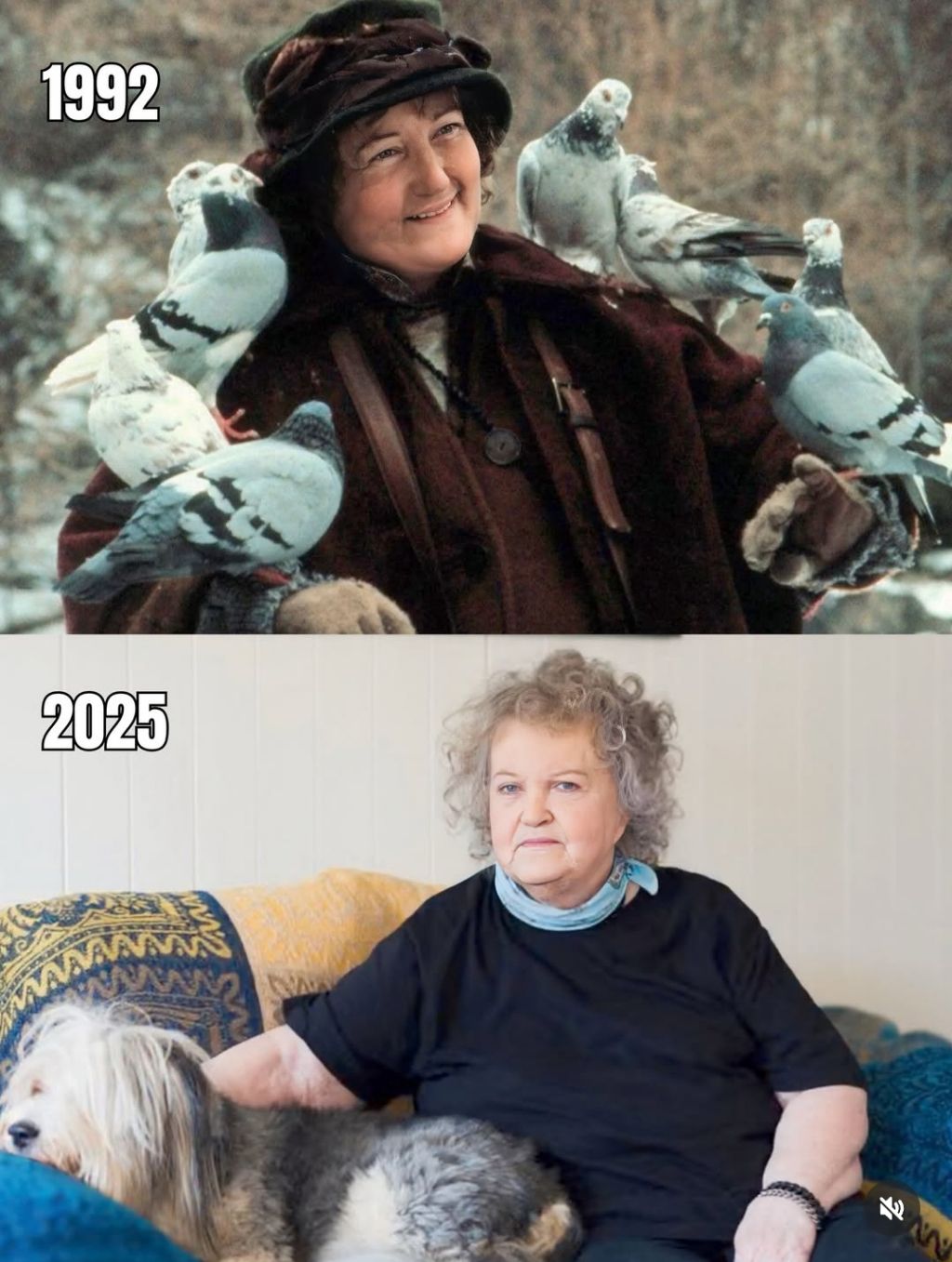 80세라는 나홀로 집에 🕊비둘기아줌마 근황 | 인스티즈