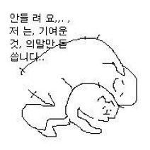 사랑은 낭만적이라 지독하리만큼 아프고 금방 시들어버려서 | 인스티즈