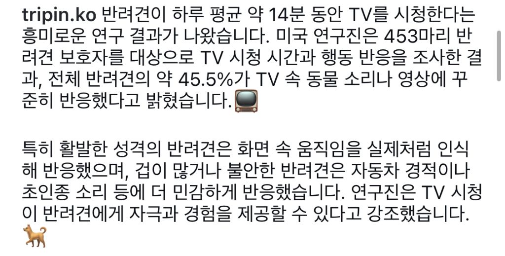 반려견, 하루 14분 TV시청한다 | 인스티즈