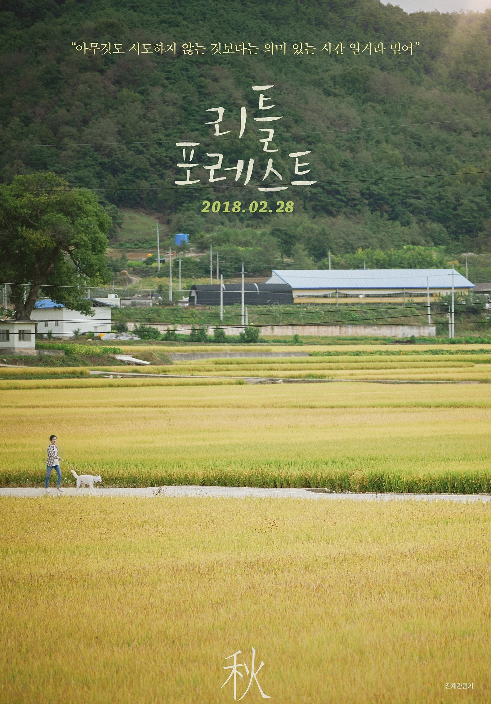색감 예쁜 영화 추천 | 인스티즈