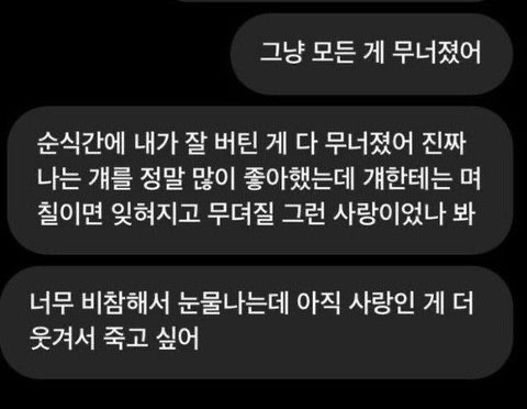 사랑은 낭만적이라 지독하리만큼 아프고 금방 시들어버려서 | 인스티즈