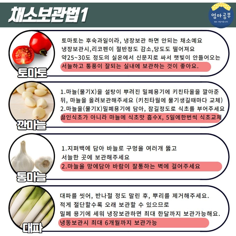 금방 상해버리는 채소 20종 오래 보관하는 법 | 인스티즈