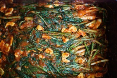 고들빼기김치 jpg | 인스티즈