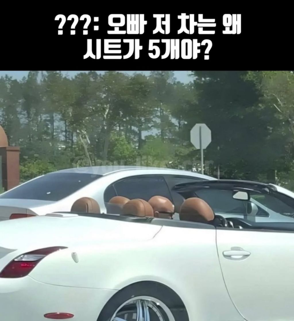 시트가 왜 5개야??? | 인스티즈