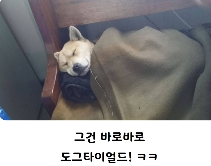 "개피곤하다"가 영어로 뭔지 앎? | 인스티즈