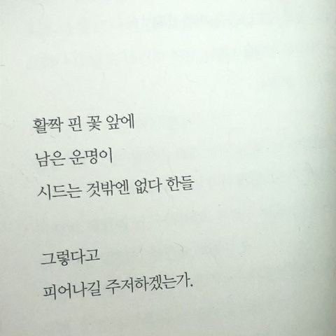 저기인디고블루바다에창백한입술한조각헤엄쳐간다그때그뜨거운레몬맛이야 | 인스티즈