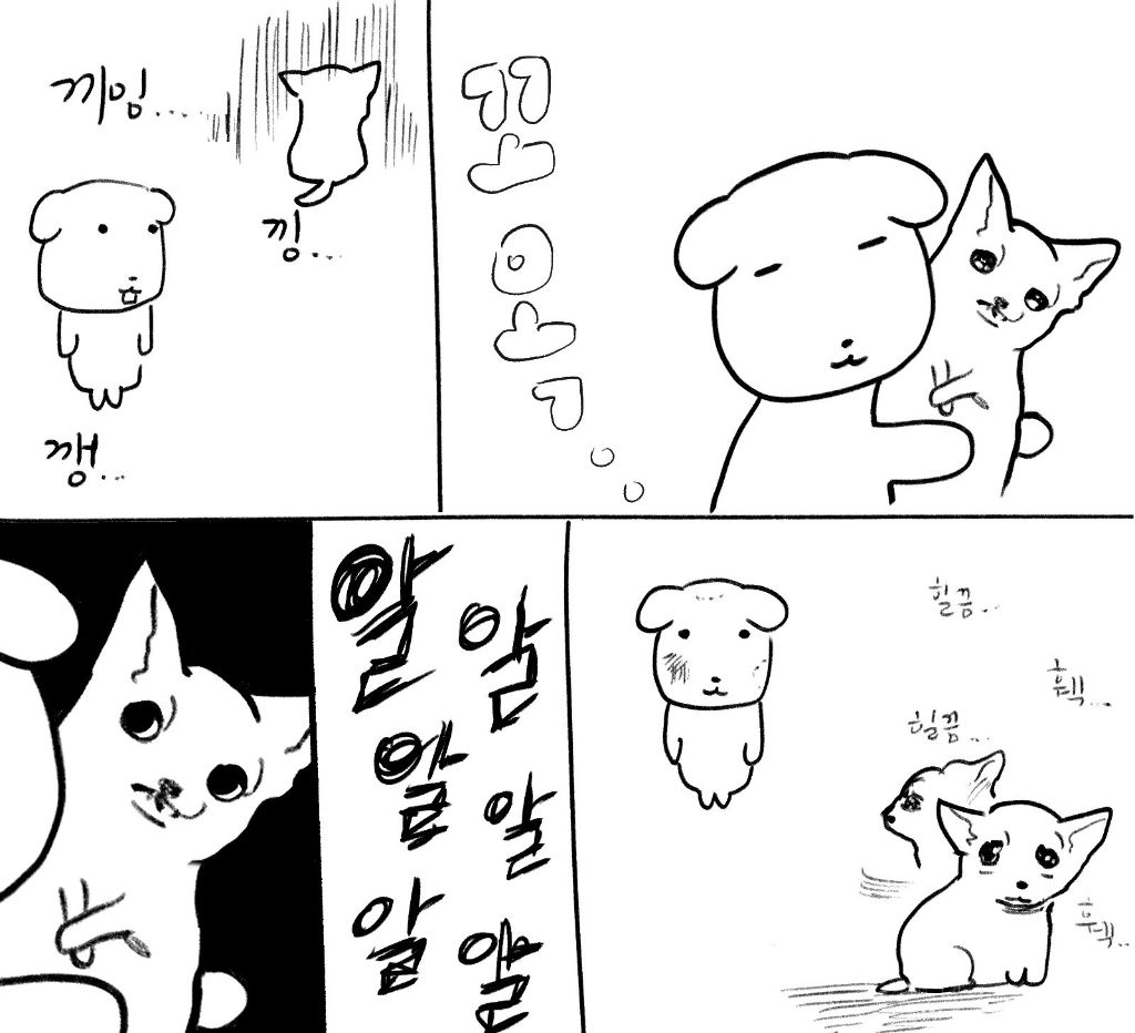 고단한 가나지와 어려운 와와 | 인스티즈