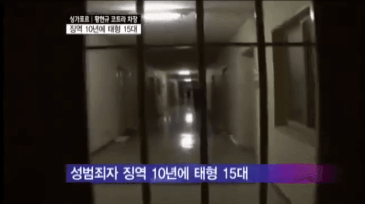 (혐오주의)싱가포르에서 성범죄자들을 처벌하는 방법 | 인스티즈