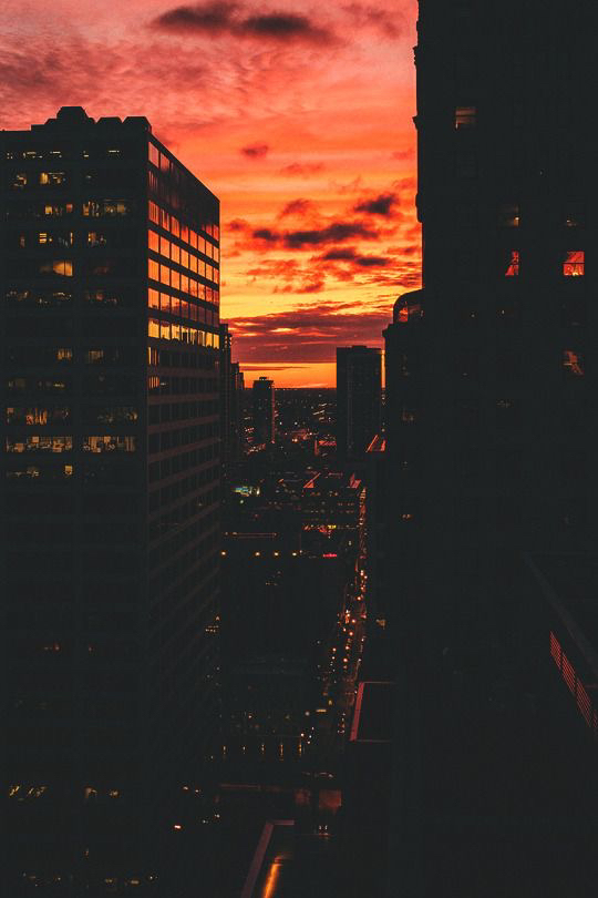 우리는 오렌지 태양 아래 그림자 없이 함께 춤을 춰 | 인스티즈