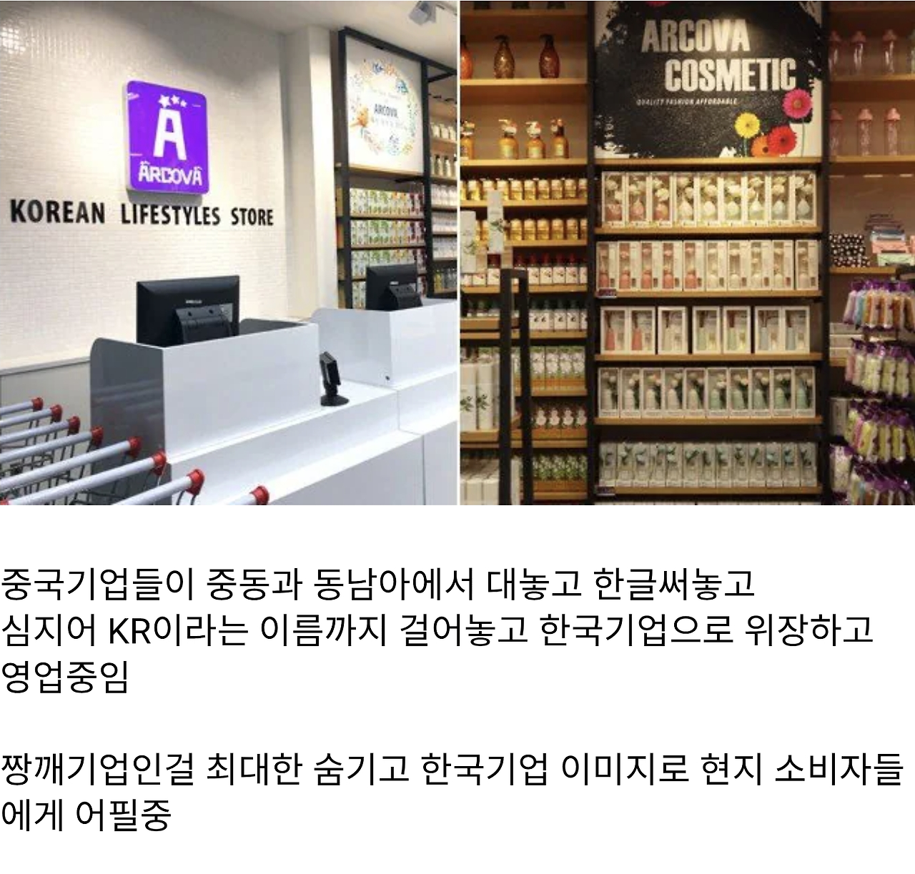 중국판 다이소들...동남아+중동에서 대놓고 한국기업 간판걸고 영업jpg | 인스티즈