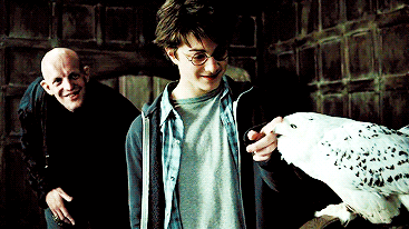 [해리포터] 해리 비주얼 절정이였던 편.gif | 인스티즈