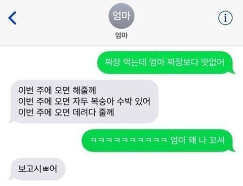 엄마가 딸에게 보내는 문자들 | 인스티즈