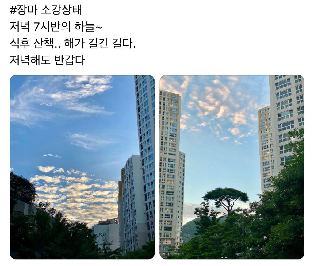 곧 시작되는 여름 유일한 장점 - 막이슈 - 쭉빵카페 곧 시작되는 여름 유일한 장점
