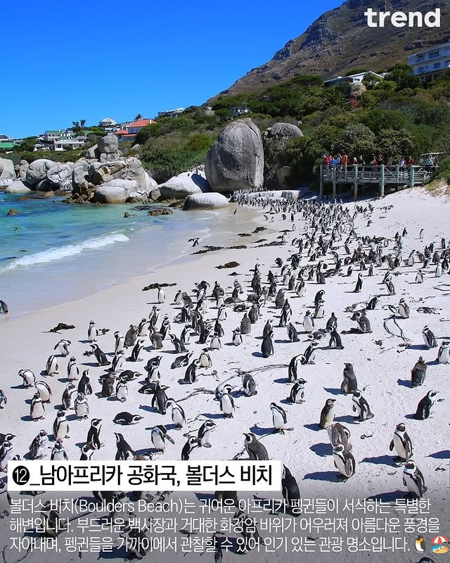 지구에서 가장 초현실적인 해변 리스트.jpg | 인스티즈