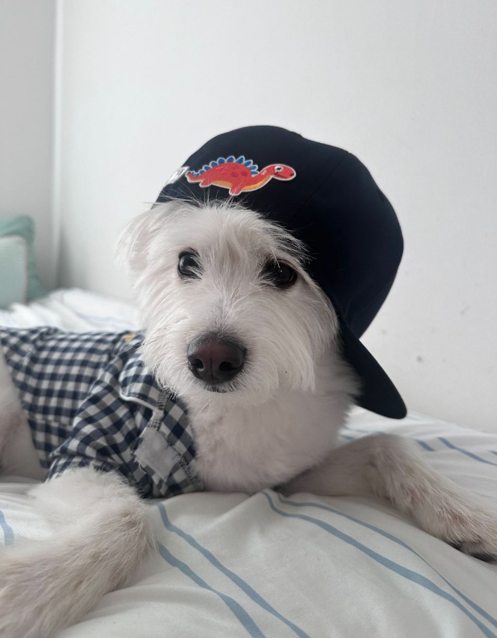 엄마가 모르셔서 그렇지 요즘은 다 이렇게 입어요 | 인스티즈