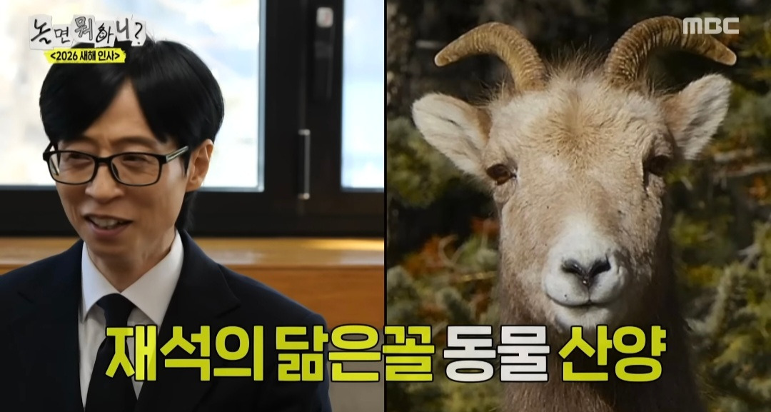 [놀면뭐하니] 모두가 인정한 관상가가 꼽은 유재석 닮은 꼴 동물ㅋㅋ | 인스티즈