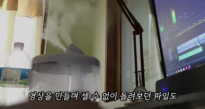 반려묘를 떠나보낸 유튜버가 올린 영상 | 인스티즈