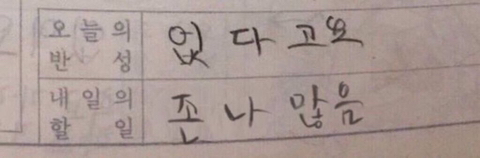 마음이 편해지고 위로가 되는 | 인스티즈