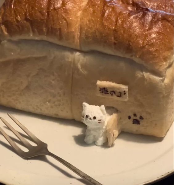 식빵 고양이 | 인스티즈