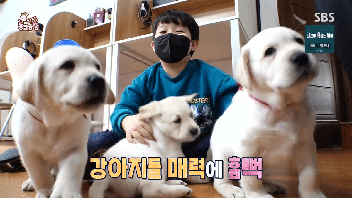 아이들이 공부하던 공부방 습격당하는 장면...gif | 인스티즈